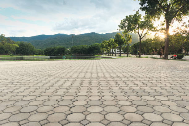 Best Affordable Driveway Paving  in Mansfield, AR