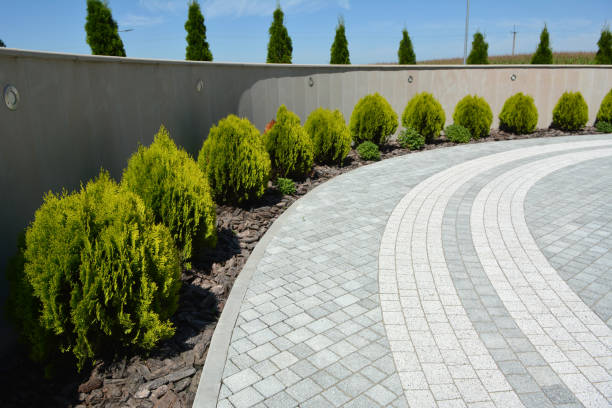 Best Professional Driveway Pavers  in Mansfield, AR